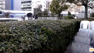 白色过膝袜好骚啊